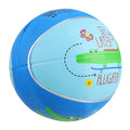 Inflatable Ball Game E204
