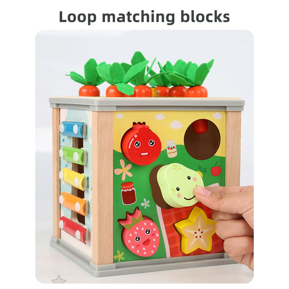6-in-1 Wooden Blocks Shape Sorter Montessori Toys S222