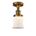 Semi-Flush Mount Light F891