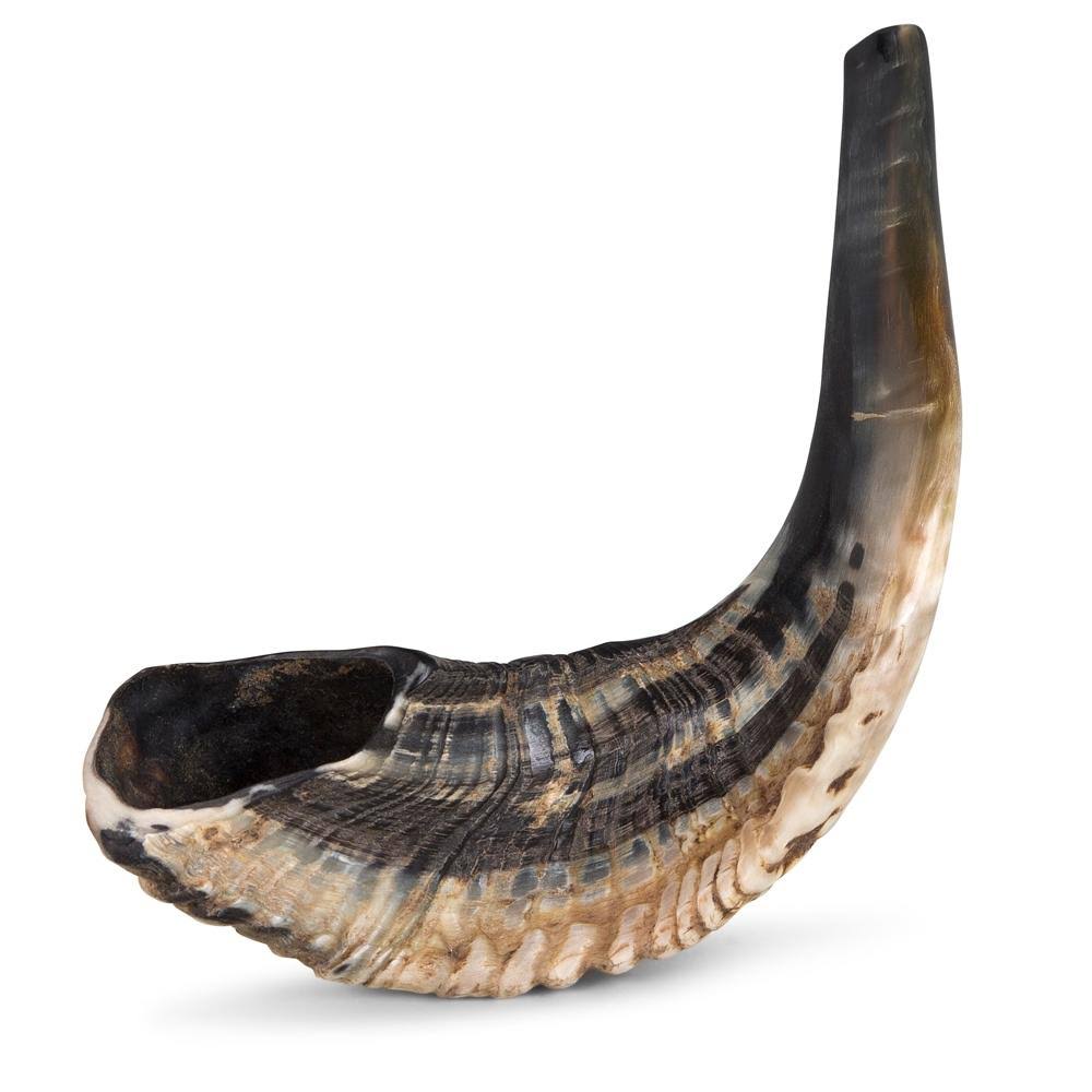 Natural Dark Ram&s Horn Shofar T85705