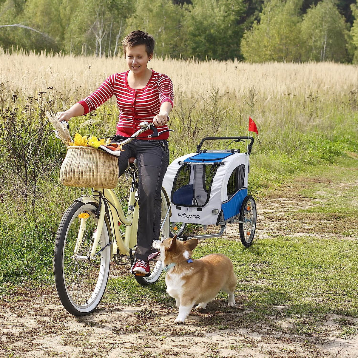 2-in-1 Dog Bike Trailer Pet Stroller with Universal Hitch V6675