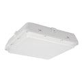Canopy LED Light Fixture L17319
