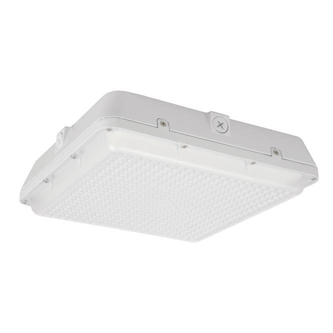 Canopy LED Light Fixture L17319