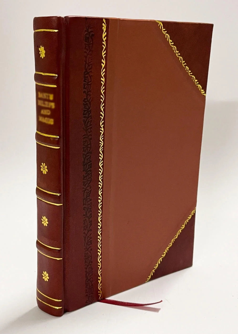 Leather Bound Book V920128