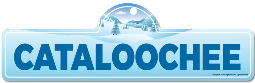 Skiing Skier Snowboarder Décor Sign N8807