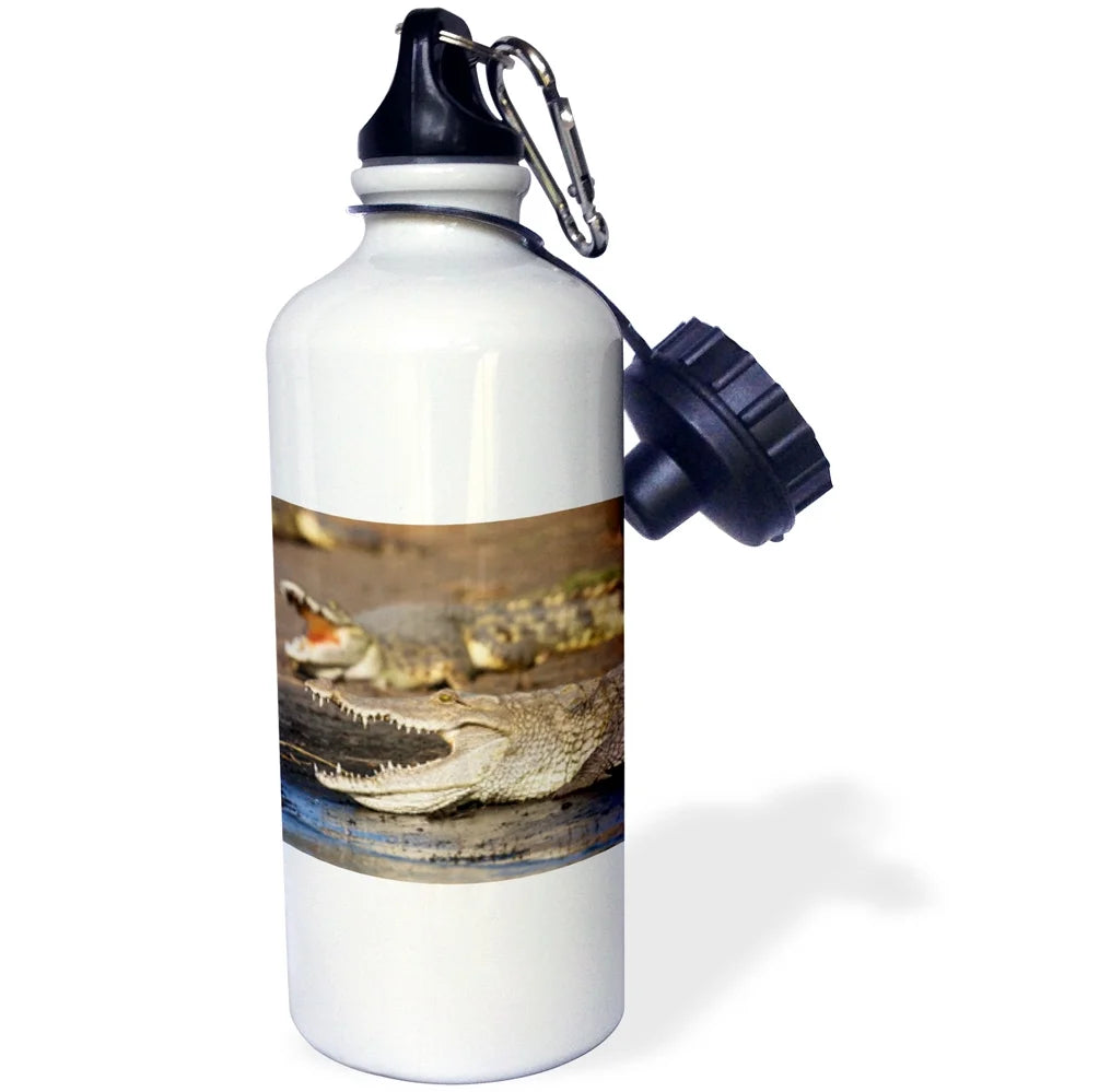 21 oz Sports Water Bottle A931554