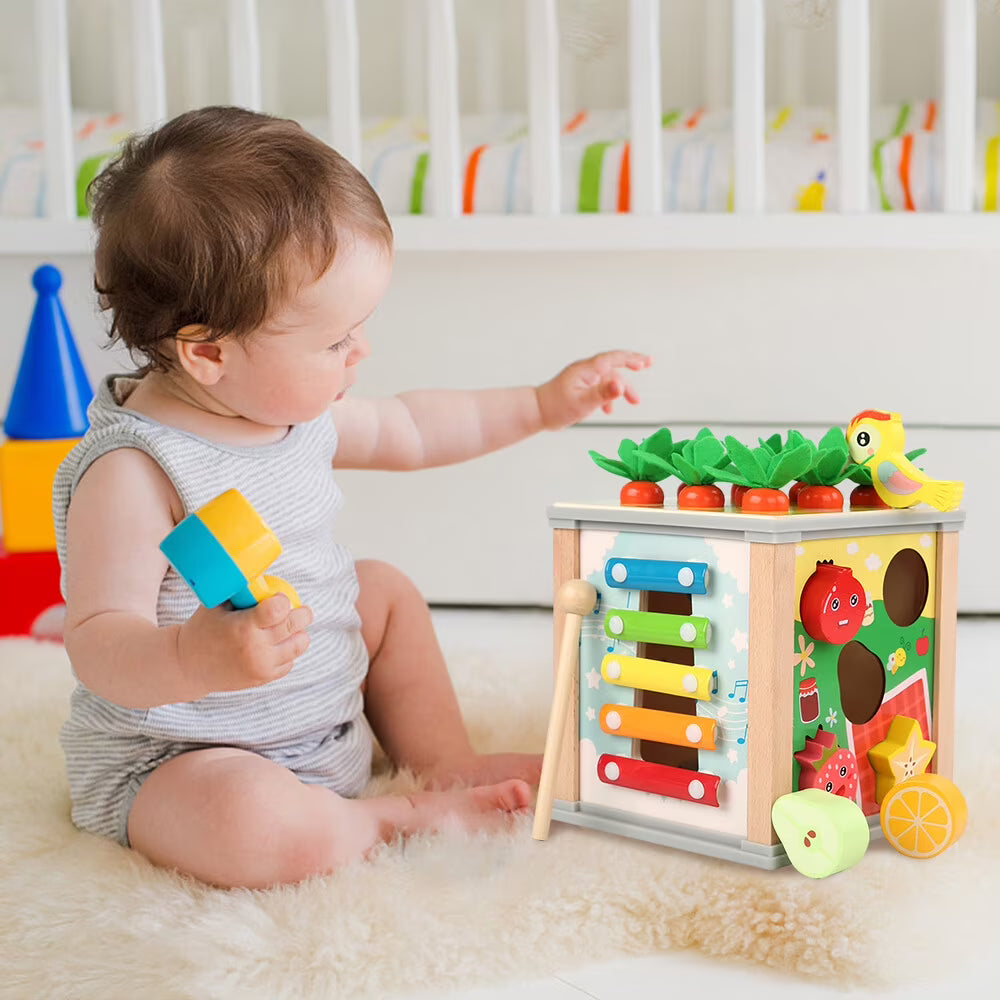 6-in-1 Wooden Blocks Shape Sorter Montessori Toys S222