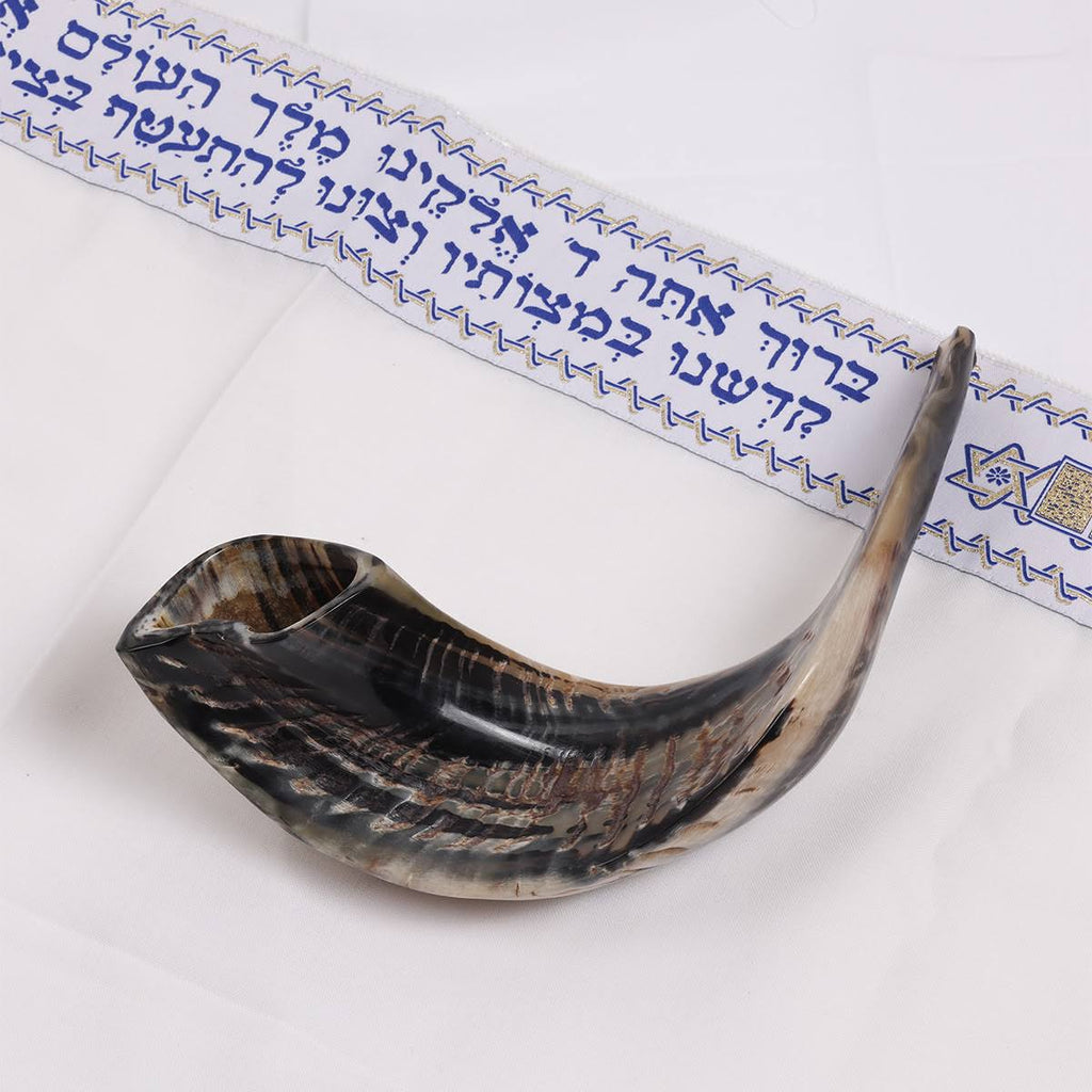 Natural Dark Ram&s Horn Shofar T85705