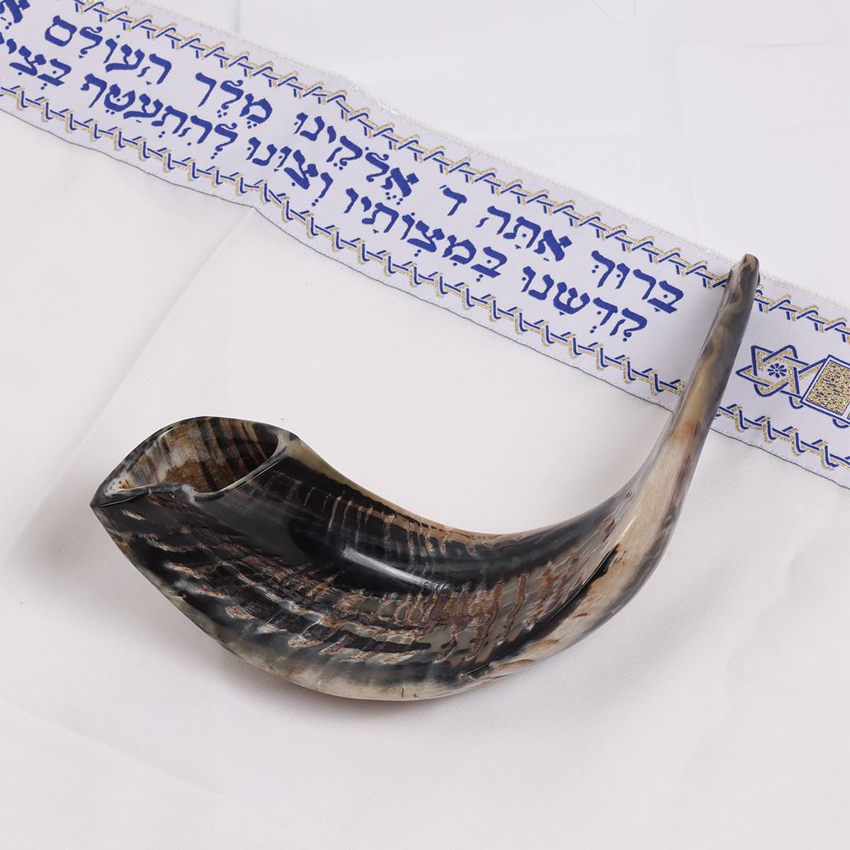 Natural Dark Ram&s Horn Shofar T85705