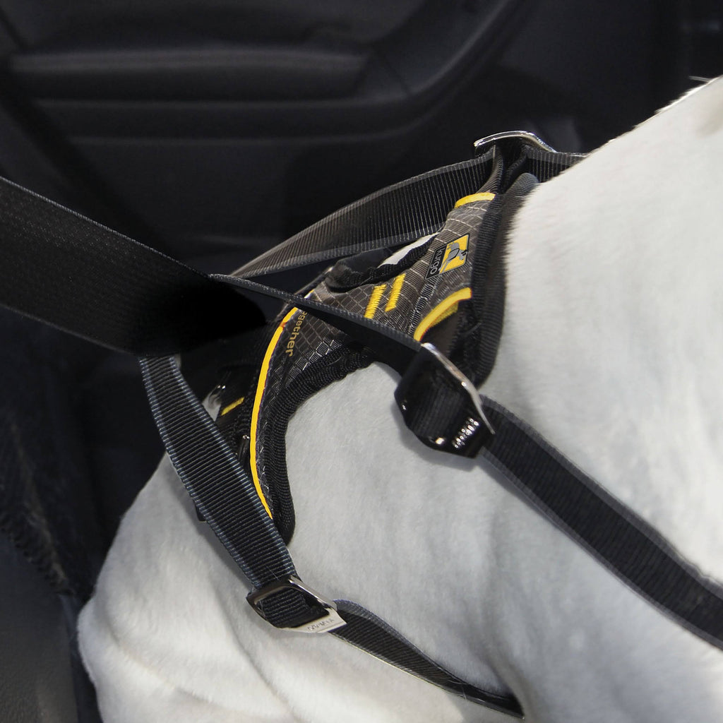Impact Dog Car Harness E7000