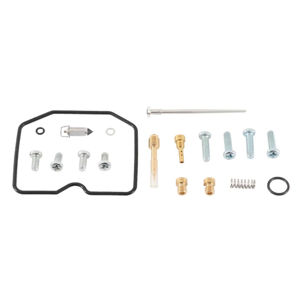 Carburetor Rebuild Kit C420445