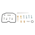 Carburetor Rebuild Kit C420445