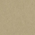 Linoleum H23924