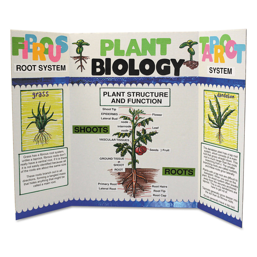 Single Ply Corrugated Display Board, 48 x 36, White, 25/Carton J1367
