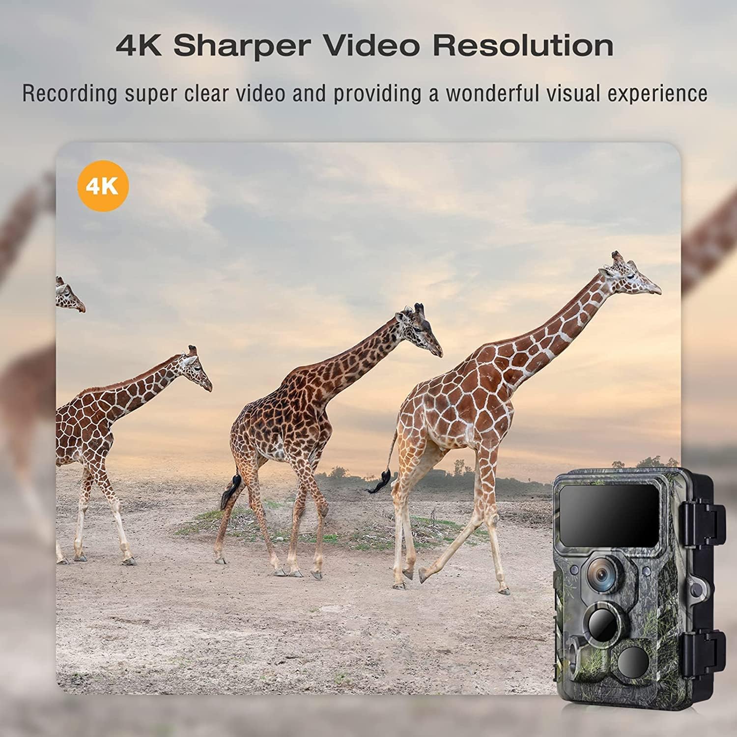 4K 30MP Trail Camera with Night Vision, 120° Wide Angle, IP66 Waterproof O243091