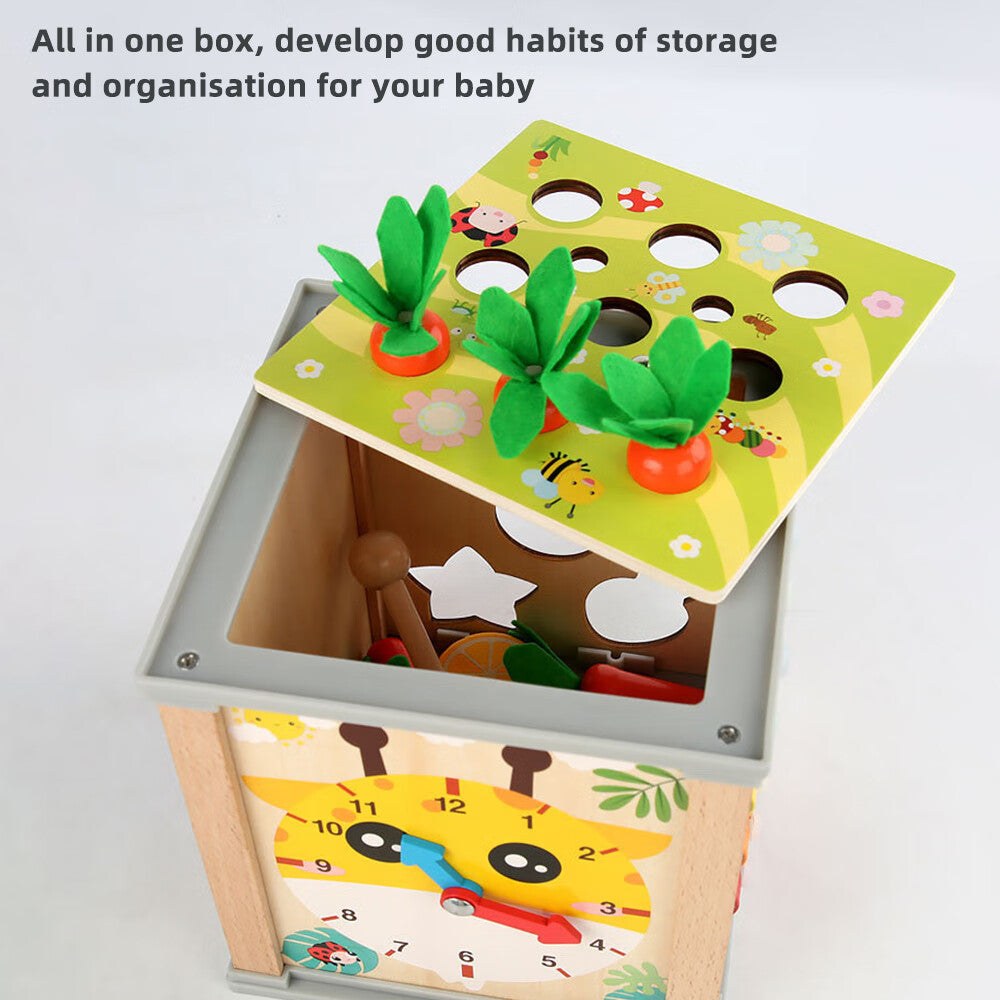 6-in-1 Wooden Blocks Shape Sorter Montessori Toys S222