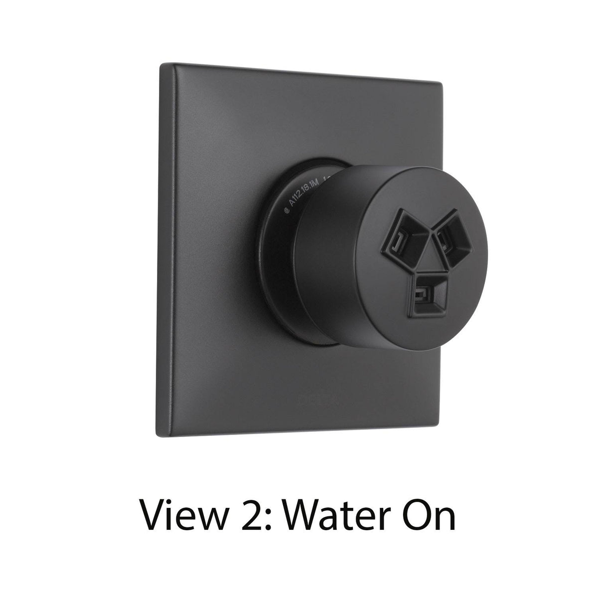 Matte Black Wall Mount Body Spray with Valve and Spray Head B694584