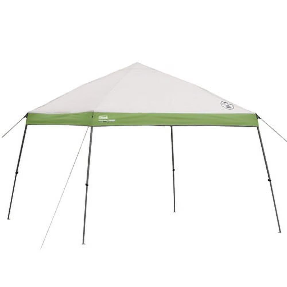 Green 10' x 10' Instant Canopy Gazebo Sun Shelter X39830