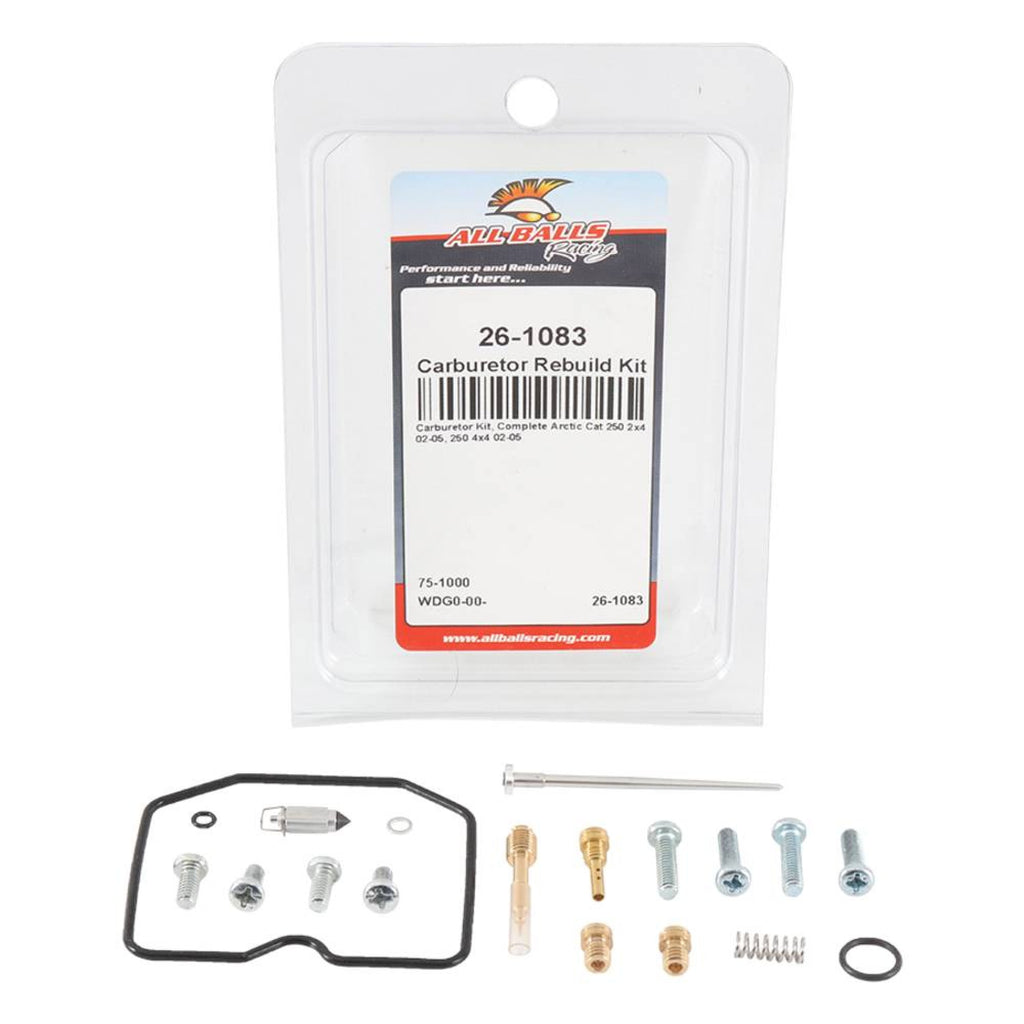 Carburetor Rebuild Kit C420445