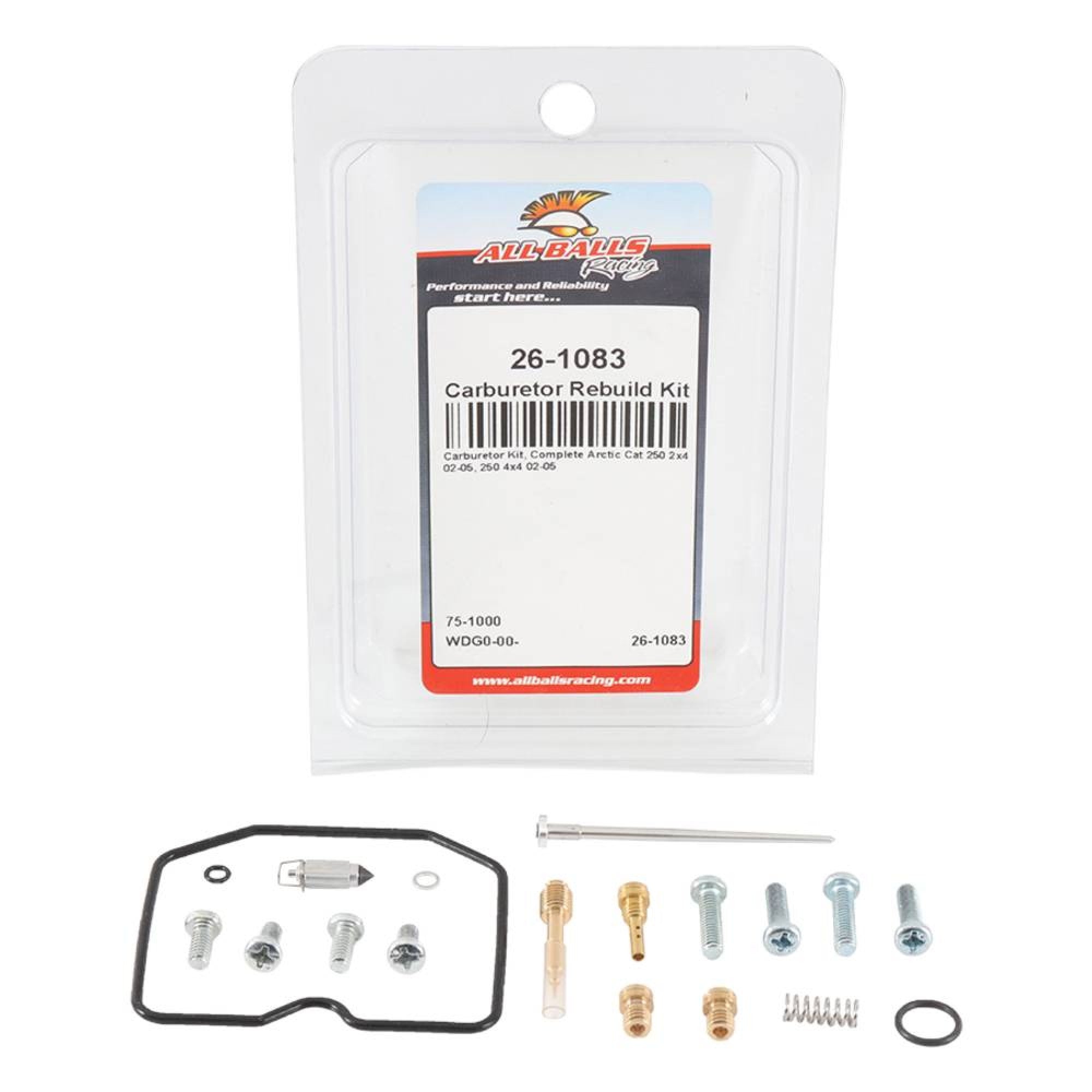 Carburetor Rebuild Kit C420445