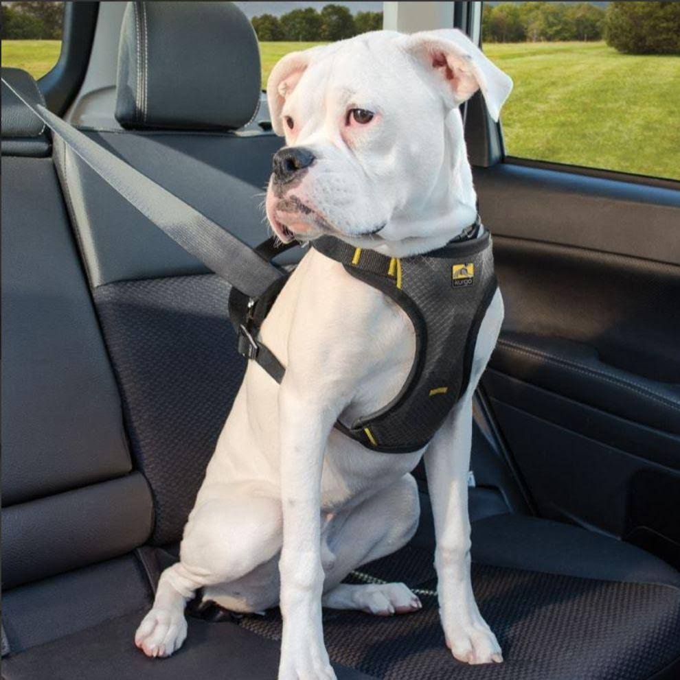 Impact Dog Car Harness E7000