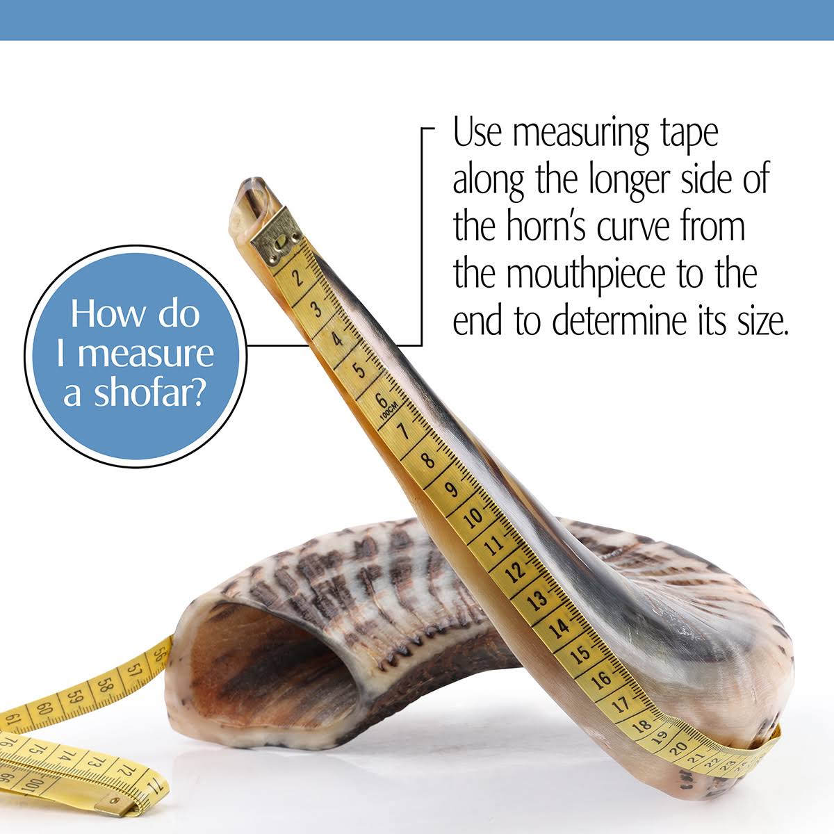 Natural Dark Ram&s Horn Shofar T85705