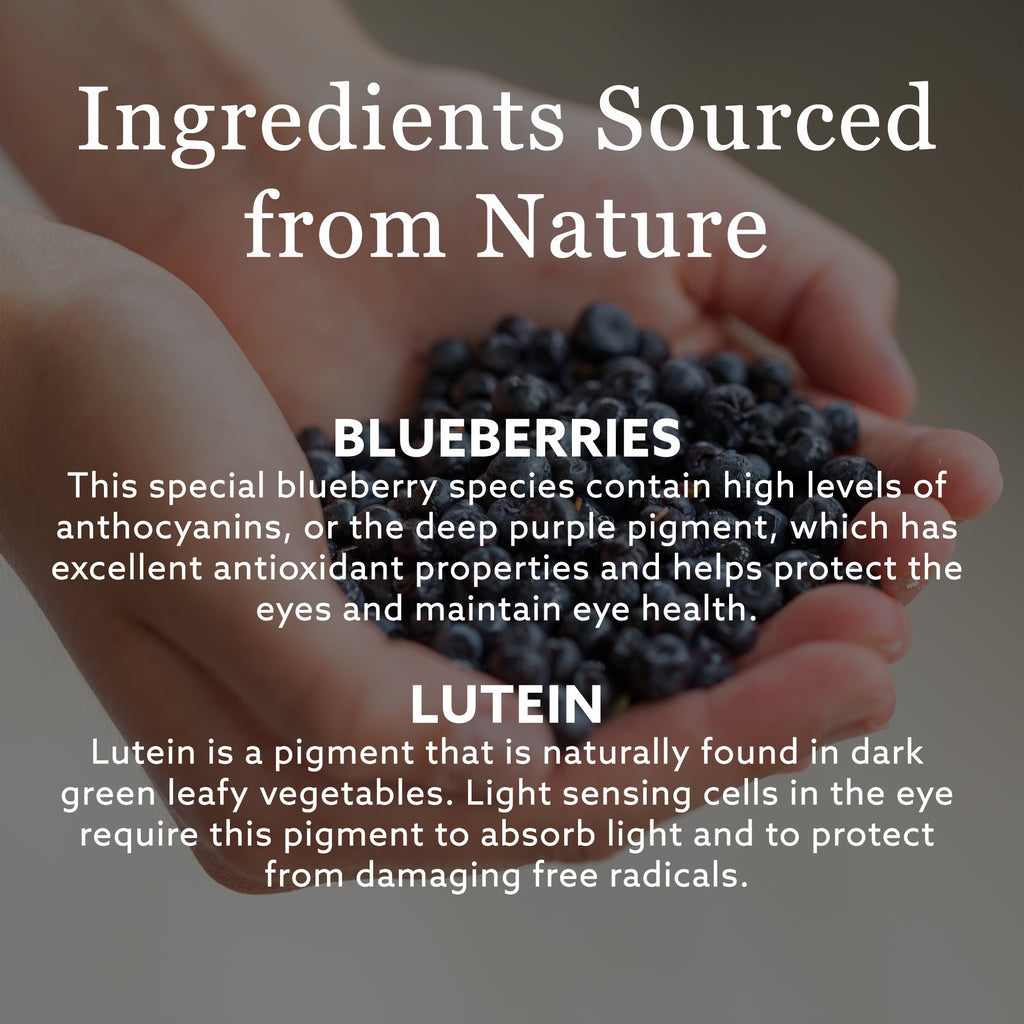 Blue Berry Strong Eye & Vision Support Supplement 120 Tablets Q30515