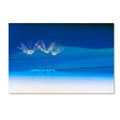 Blue Landscape Canvas Art (22x32) B144