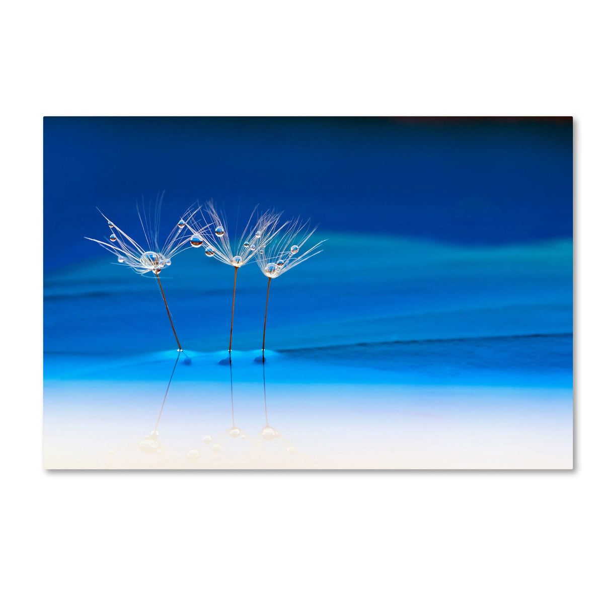 Blue Landscape Canvas Art (22x32) B144
