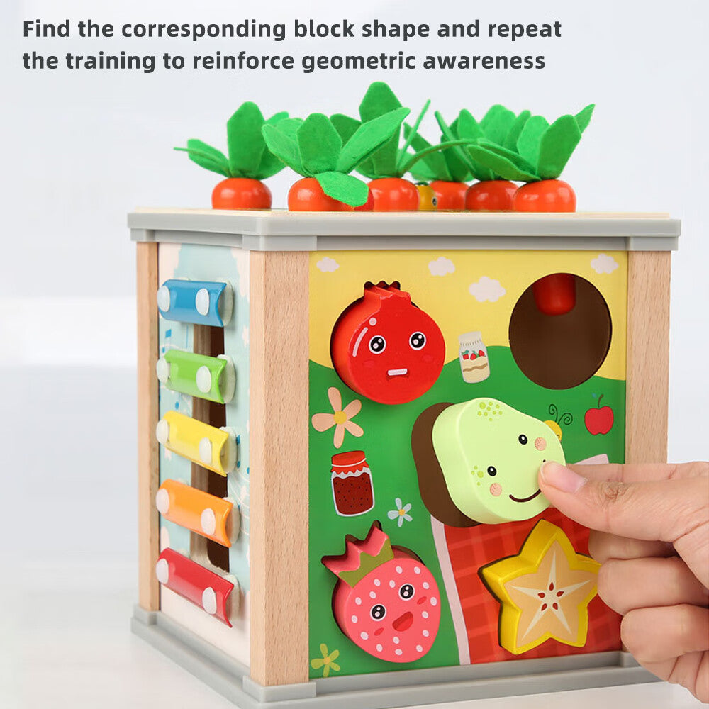 6-in-1 Wooden Blocks Shape Sorter Montessori Toys S222