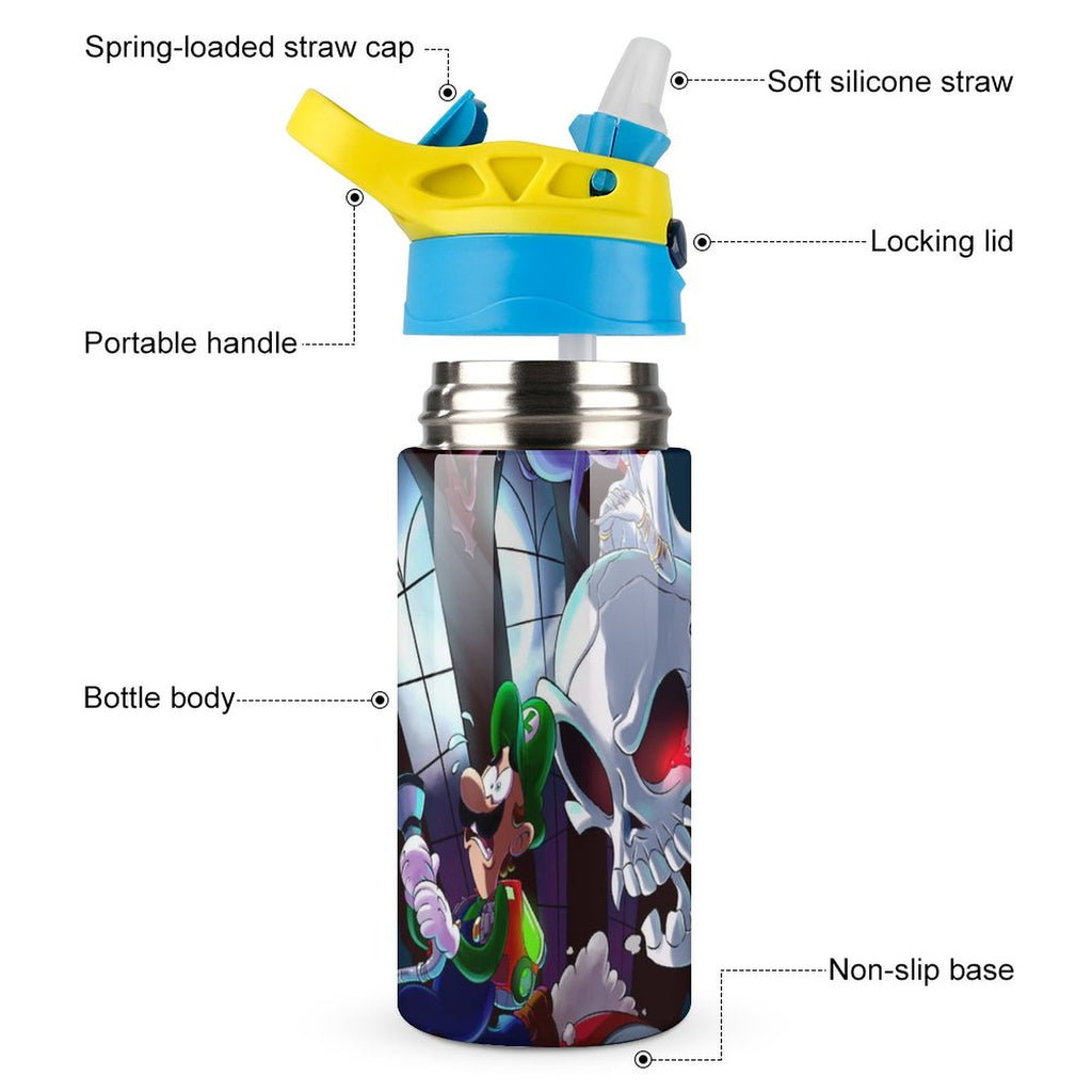 Insulated Stainless Steel Water Bottle with Straw M1612