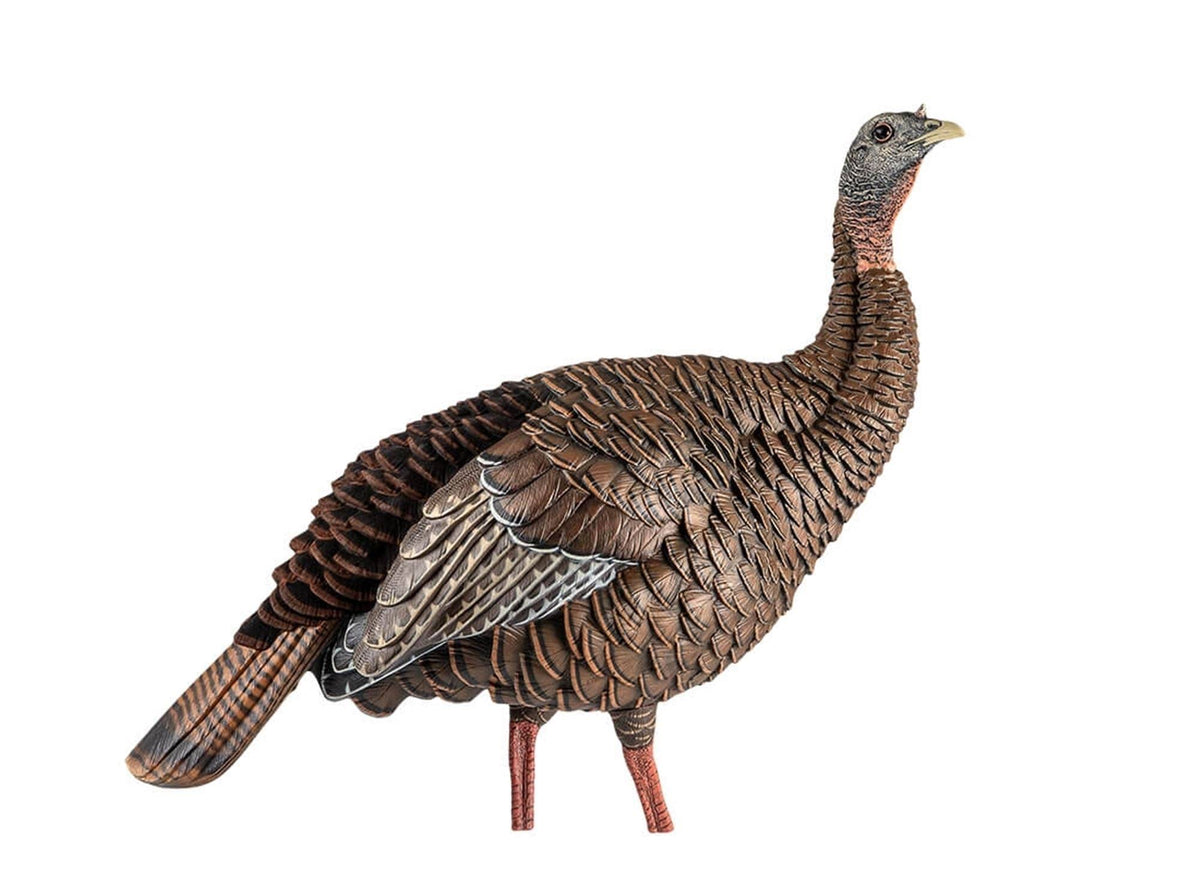 Turkey Decoy X8337