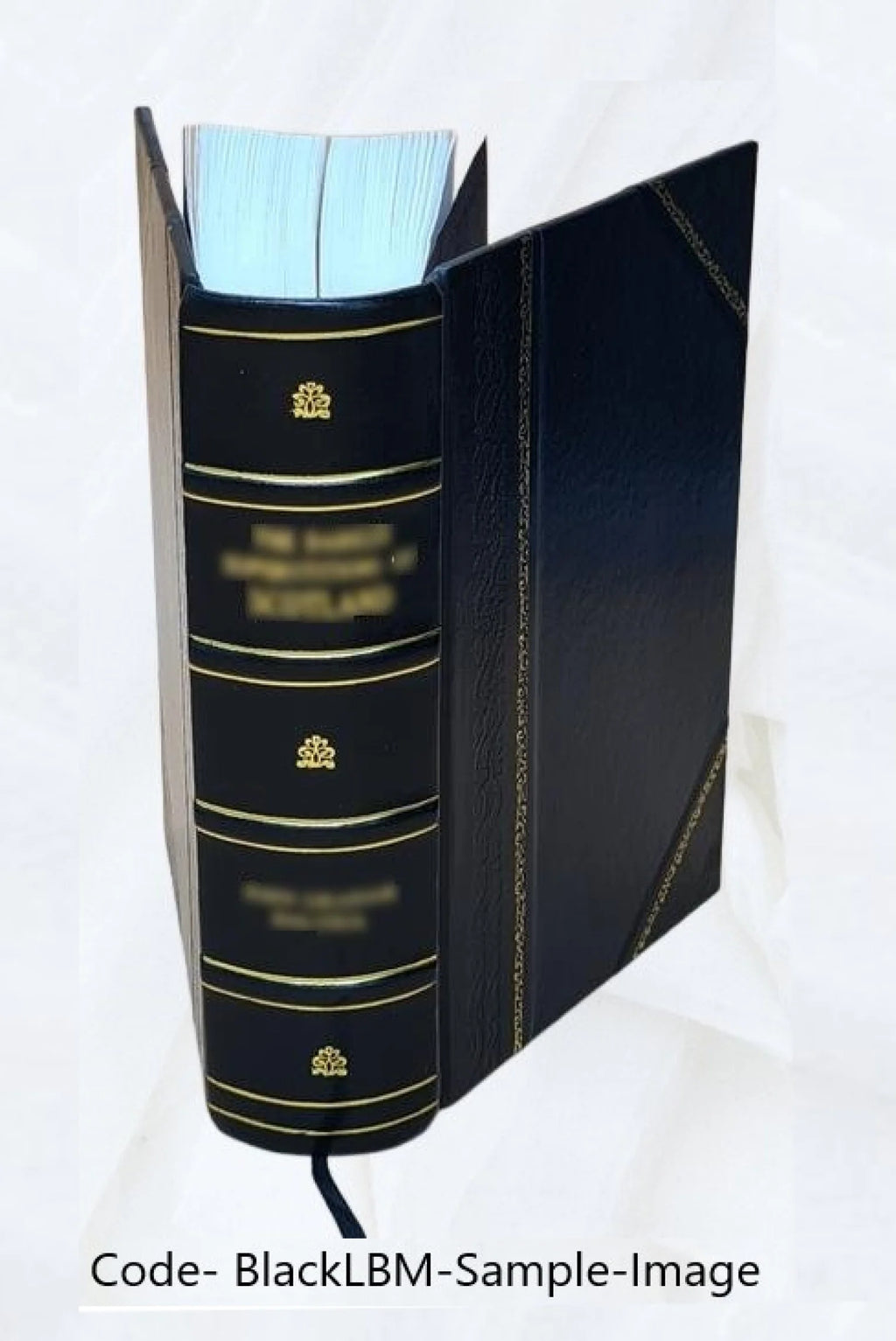Leather Bound Book A650