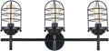 3-Light Black Vanity Light Wall Sconce M8291