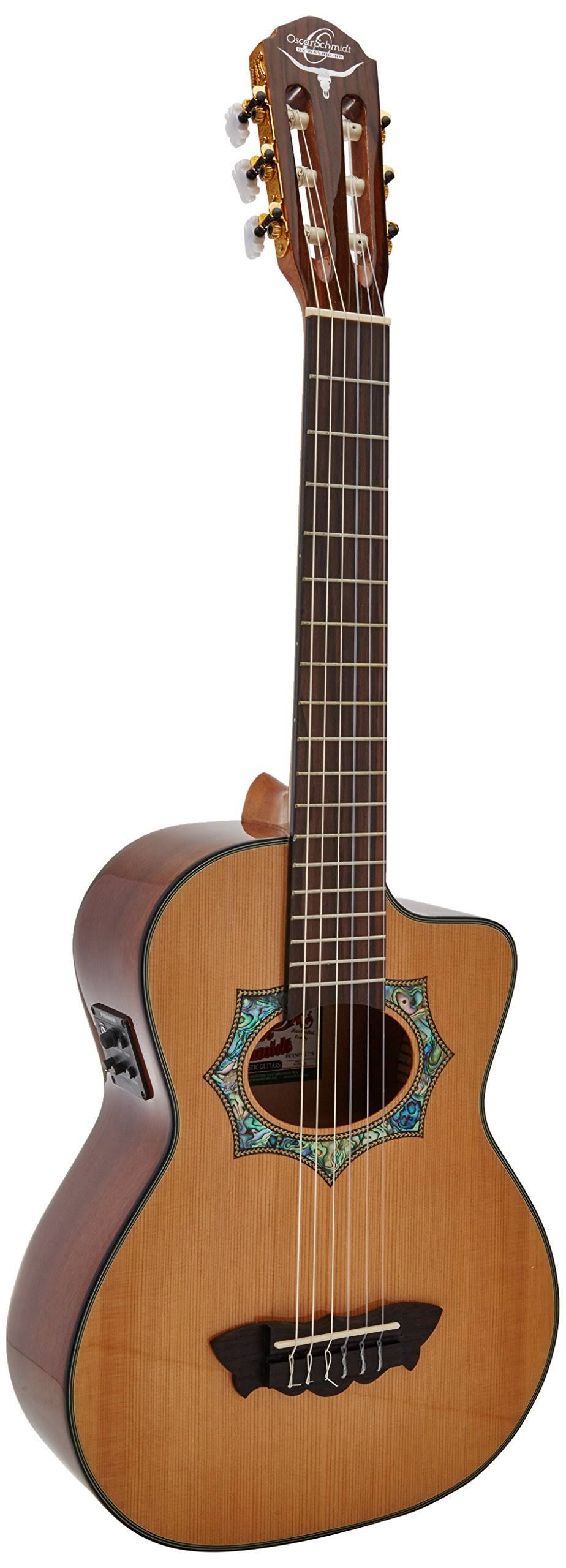 Requinto Acoustic Electric Guitar K389