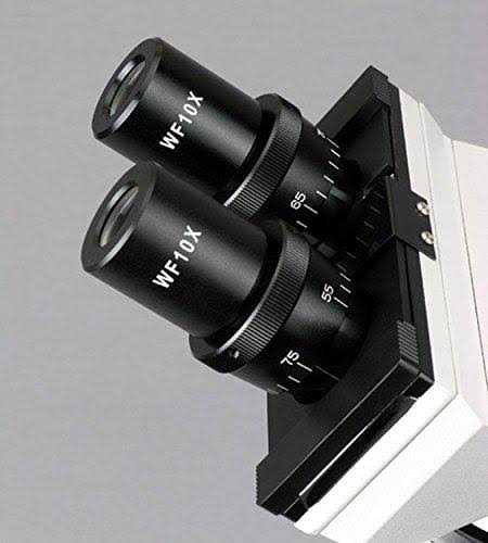 White Binocular Biological Microscope 40X-2500X with Slide Preparation Kit L5002