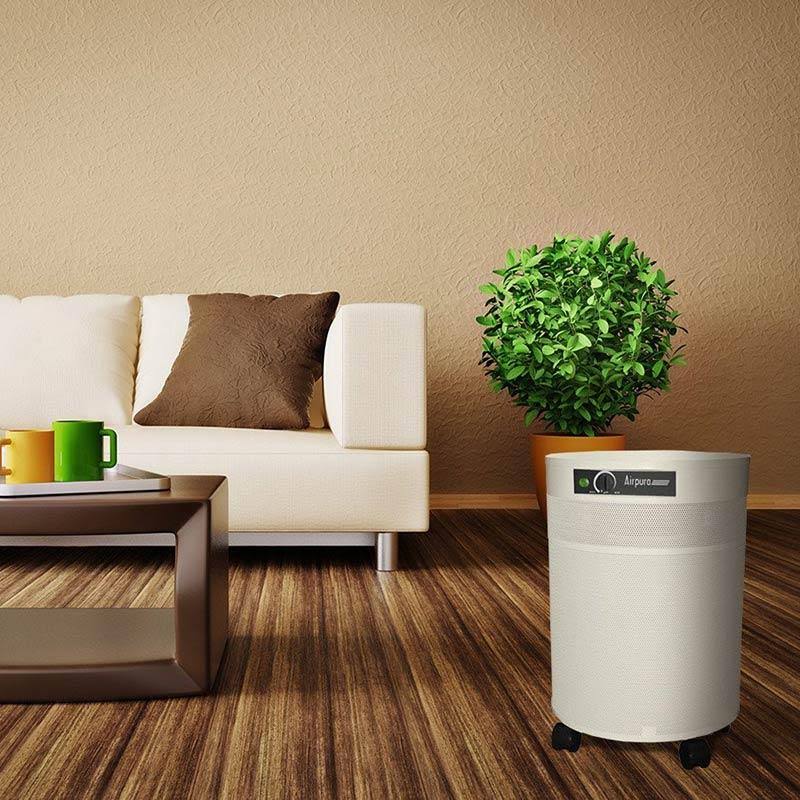 Cream Air Purifier B237731