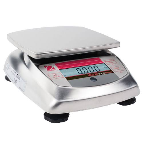 Compact Precision Scale E22884