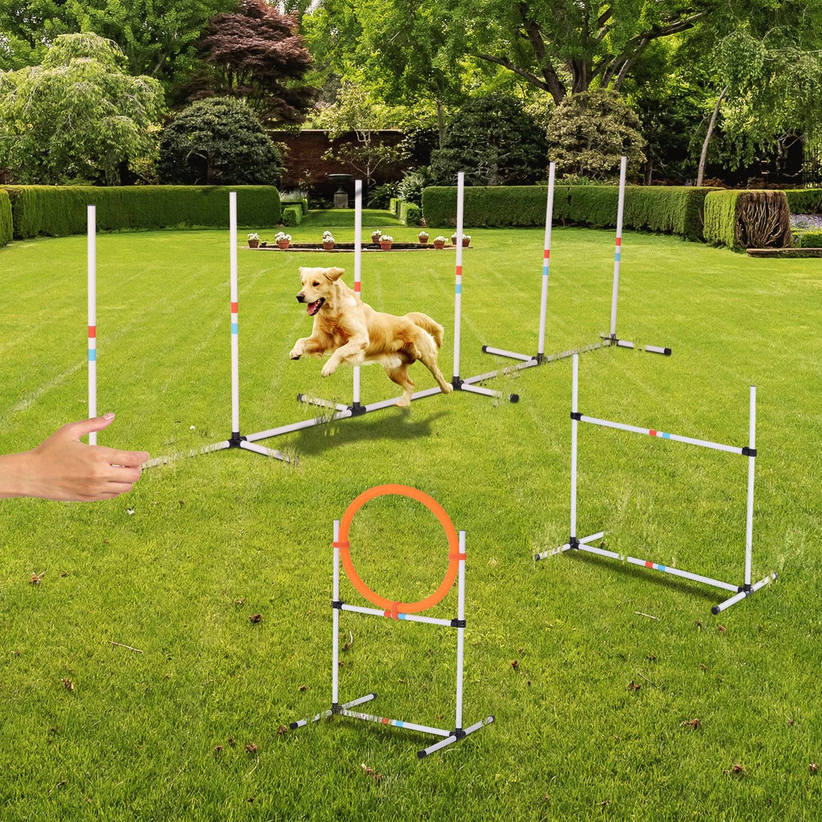 Portable Pet Agility Training Set with Carry Bag G27838