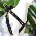 Leather Adjustable Cat Harness K52423