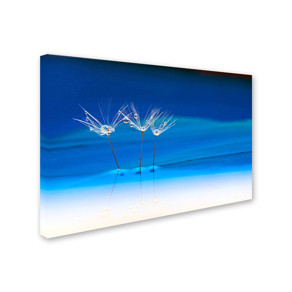 Blue Landscape Canvas Art (22x32) B144