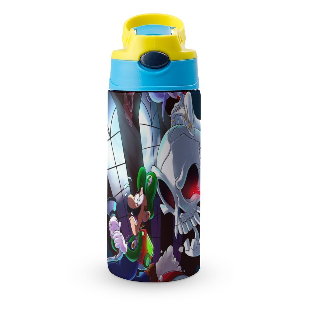 Insulated Stainless Steel Water Bottle with Straw M1612