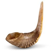 Natural Dark Ram&s Horn Shofar T85705