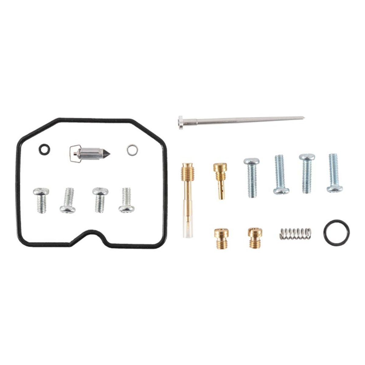 Carburetor Rebuild Kit C420445
