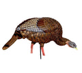 Turkey Decoy X8337